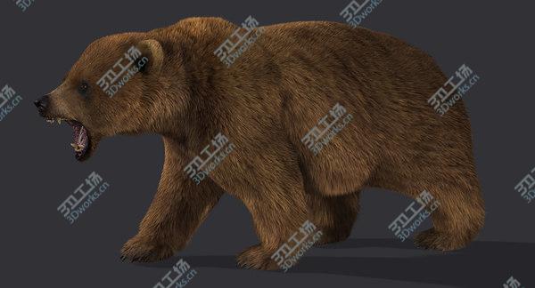 images/goods_img/20210312/Bear (2) (LightBrown) (Rig) (Fur)/3.jpg